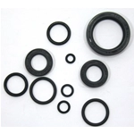 Serie paraolio motore per moto BENELLI 48 3 marce