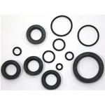 Serie paraolio motore per moto BENELLI Export 3VP 3VK