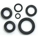 Serie paraolio motore per Moto GUZZI Dingo Cross