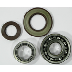 Kit cuscinetti e paraoli per revisione albero motore per APE TM  P703  P602 