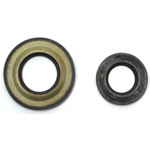 Jeu de joints d'huile moteur pour APE P 601 LS CAR LS2 P2