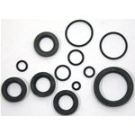 Serie paraolio motore per moto BENELLI Export 3VP 3VK