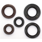 Serie paraolio motore per moto FRANCO MORINI AH 50 L 