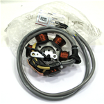 Kokusan stator for 50 2T PIAGGIO SFERA ZIP GILERA engines ro 820293 830294