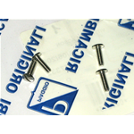 Kit 4 Horn Fixing Screws for VESPA Original Piaggio