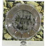 SURFLEX-Kupplung für VESPA 180 RALLY von 1968 bis 1974 180 SS SUPER SPORT von 1964 bis 1967