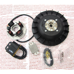 Accensione PINASCO 25356844 elettronica FLYTECH diametro mm 20 kg 1,4 per VESPA 50 125 PK XL