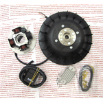 Accensione PINASCO 25356832 elettronica FLYTECH diametro mm 20 kg 1,6 per VESPA PX 125 150 200 cc