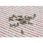 Hutschraube 4,2 x 16 mm selbstschneidend zur Befestigung von Spitzen, Leisten, Trittbrettern VESPA 98 125 150 V1T A V30T VM VN VL VB1 GS VS1 A VS5T Schlitzkopf aus Edelstahl