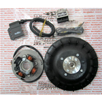 Accensione PINASCO 25356843 elettronica FLYTECH diametro mm 20 kg 0,9 per VESPA PX 80 125 150 200 cc