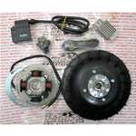 Accensione PINASCO 25356852 elettronica FLYTECH kg 1,6 per VESPA GS 160