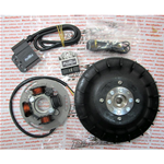 Accensione PINASCO 25356845 elettronica FLYTECH diametro mm 20 kg 1,1 per VESPA PX 80 125 150 200 cc