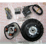 Accensione PINASCO 25356837 elettronica FLYTECH diametro mm 20 kg 0,9 per VESPA 50 125 PK XL