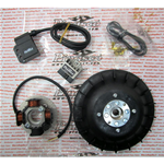 Accensione PINASCO 25356850 elettronica FLYTECH kg 1,6 per VESPA T5 PX 125 T5