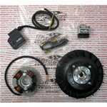 Accensione PINASCO 25356849 elettronica FLYTECH diametro mm 20 kg 1,6 per VESPA 50 125 PK XL