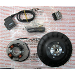 Accensione PINASCO 25356846 elettronica FLYTECH diametro mm 20 kg 1,4 per VESPA PX 80 125 150 200 cc