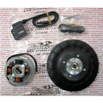 Accensione PINASCO 25356831 elettronica FLYTECH diametro mm 20 kg 1,6 per VESPA PX 80 125 150 200 con avviamento elettrico