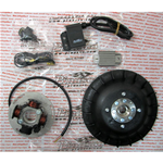 Accensione PINASCO 25356854 elettronica FLYTECH 1,6 kg 12 volt 90 watt per VESPA 180 200 RALLY