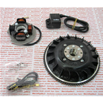 Accensione PINASCO 25356857 elettronica FLYTECH diametro mm 20 kg 1,5 per VESPA PK 50 125 APE 50 con avviamento elettrico