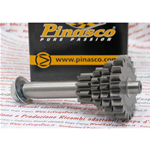 OFFRE SPÉCIALE PINASCO 25270900 Quadruple Gear Z 10 14 18 21 Gran Turismo Short Quatrième Vitesse pour VESPA 50 90 125 PRIMAVERA ET3 PK