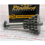 OFFRE SPÉCIALE PINASCO 25270901 Quadruple Gear Z 10 14 17 20 Gran Sport Troisième et quatrième vitesse très courte pour VESPA 50 90 125 PRIMAVERA ET3 PK