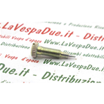 VITE DI REGOLAZIONE PER CARBURATORI SHB PER PIAGGIO VESPA APE TRATTORINO T111