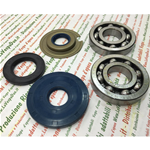 KIT CUSCINETTI E PARAOLI PER REVISIONE ALBERO MOTORE PER VESPA 125 GT GTR TS 1° / 150 GL 2° / 150 SPRINT 2° / 150 SPRINT VELOCE 1°