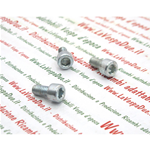 VITE A TESTA CILINDRICA PER FISSAGGIO PINZA FRENO ANTERIORE PER VESPA 125 150 200 PX MILLENNIUM FRENO A DISCO DAL 1998 IN POI 1 PEZZO