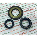 KIT DE RETENES DE ACEITE PARA REVISIÓN DEL CIGÜEÑAL PARA VESPA PX80E PX125E PX150E PX200E 2.ª / LUSSO 2.ª / PX 125 150 200 1998 MY 2011 COSA 125 150