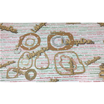 Juntas de motor para LAMBRETTA LD AE 125 año 1954