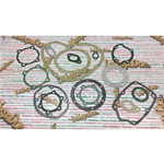 Joints moteur pour LAMBRETTA LAMBRO 550