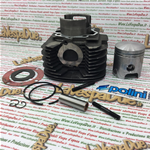 GRUPPO TERMICO POLINI 140.0092 69 MM 224 PER APE TM 703 P 602