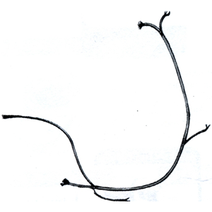 Impianto Elettrico per VESPA 180 SS SUPER SPORT 2° serie senza batteria