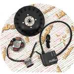 Zündung PINASCO 26357759 elektronisch FLYTECH Touring für Kurbelgehäuse-Kit Motor Pinasco 251 MASTER AND SLAVE 26483132 und 26483131