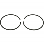 Paar Pinasco-Segmente 25173424 für PINASCO Thermal Group 55 mm kompatibel mit 25010793 25011840 25030794