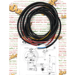 Electrical system for BIANCHI SCUDO DEL SUD