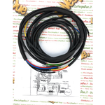 Elektrische Anlage für BENELLI MOTOBI CATRIA