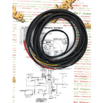 Elektrische Anlage für MOTO GUZZI LODOLA 235