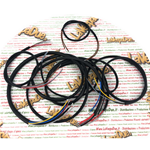 Electrical system for BIANCHI FRECCIA CELESTE 125