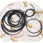 Electrical system for BIANCHI BERNINA 125