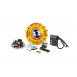 OFFERTA SPECIALE Accensione elettronica FLYTECH RACING PINASCO GOLD 26358832G Ø 20 mm kg 1,6 VESPA PX 125 150 200