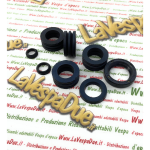 Serie Paraolio Motore per MOTO GUZZI Stornello 125