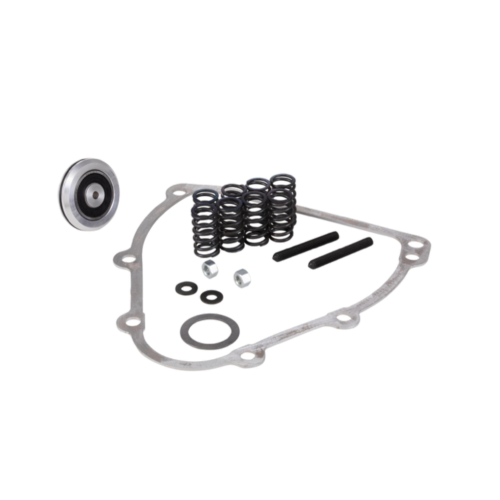 Kupplung BFA MOTORI 2019 Sport Race Square Getriebe VESPA 50 125 PRIMAVERA ET3 PK XL XL2 S