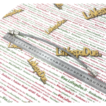 Hinterer Bremsschlauch für APE alle Modelle