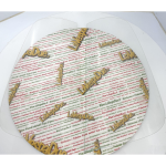 Coppia Plaxiglass Vetri plastiche parabrezza curvo cabina APE calessino AC1 in Plaxiglass