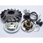 POLINI 171.0549 electronic ignition for VESPA 125 150 200 PX PE 12 volt electrical system weight 1.4 kg