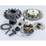 POLINI 171.0551 electronic ignition with 5 wires for APE 50 FL FL2 FL3 RST MIX weight 1.4 kg