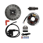 Encendido electrónico EVOK para VESPA 125 150 VNB VNA VBB GTR GT SPRINT SUPER TS RALLY cono Ø 17 mm con avance variable peso 1,4 kg