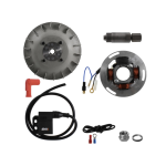 EVOK electronic ignition for VESPA 80 125 150 200 PX PE T5 ARCOBALENO ELESTART front disc brake with variable advance weight 1.4 kg