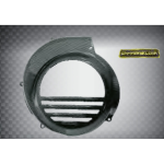 Copriventola Copri Volano CARBON LOOK VESPA 125 150 200 PX PE COSA FRENO A DISCO ARCOBALENO con avviamento elettrico r.o. 436543 2856075